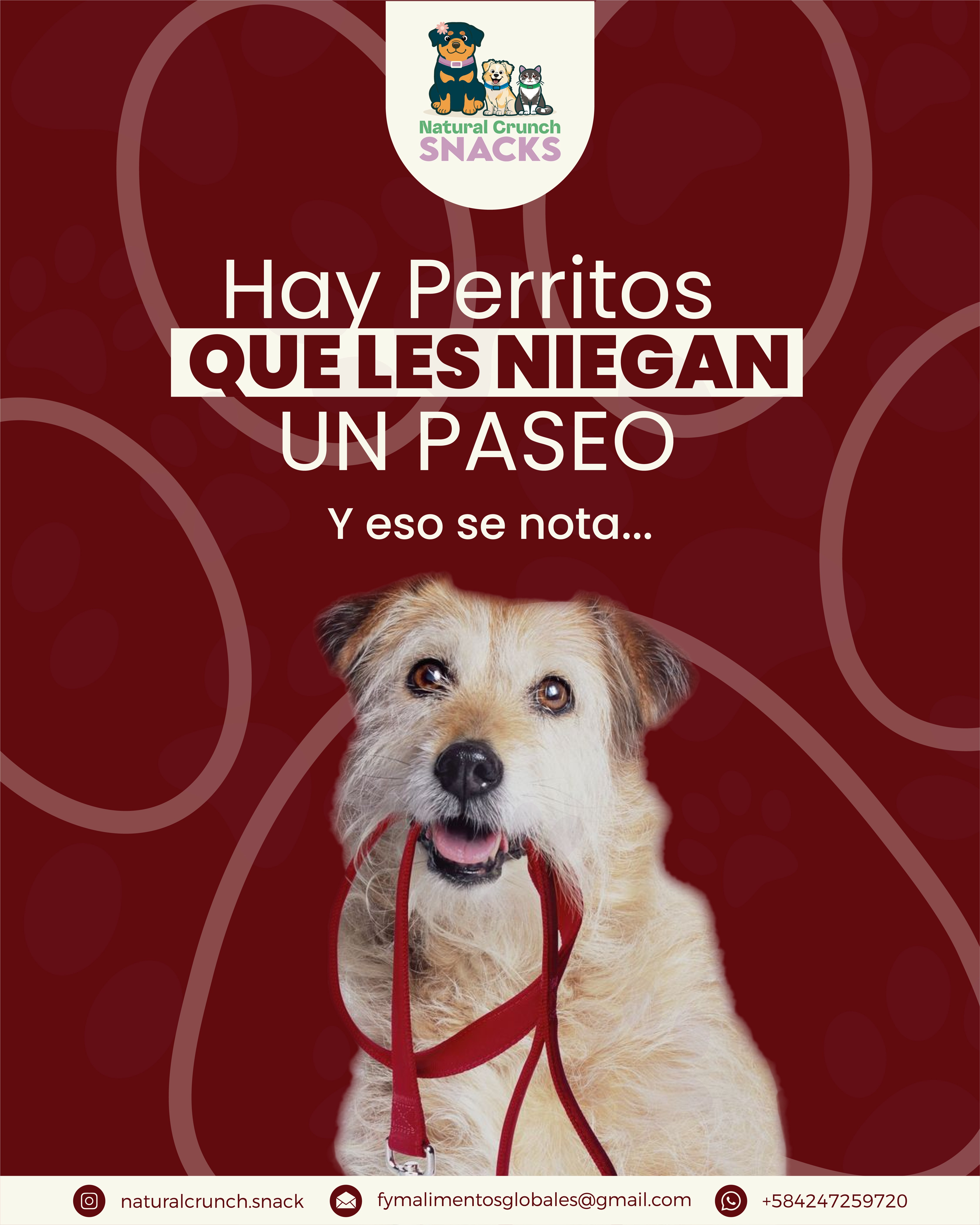 Hay perritos que les niegan un paseo