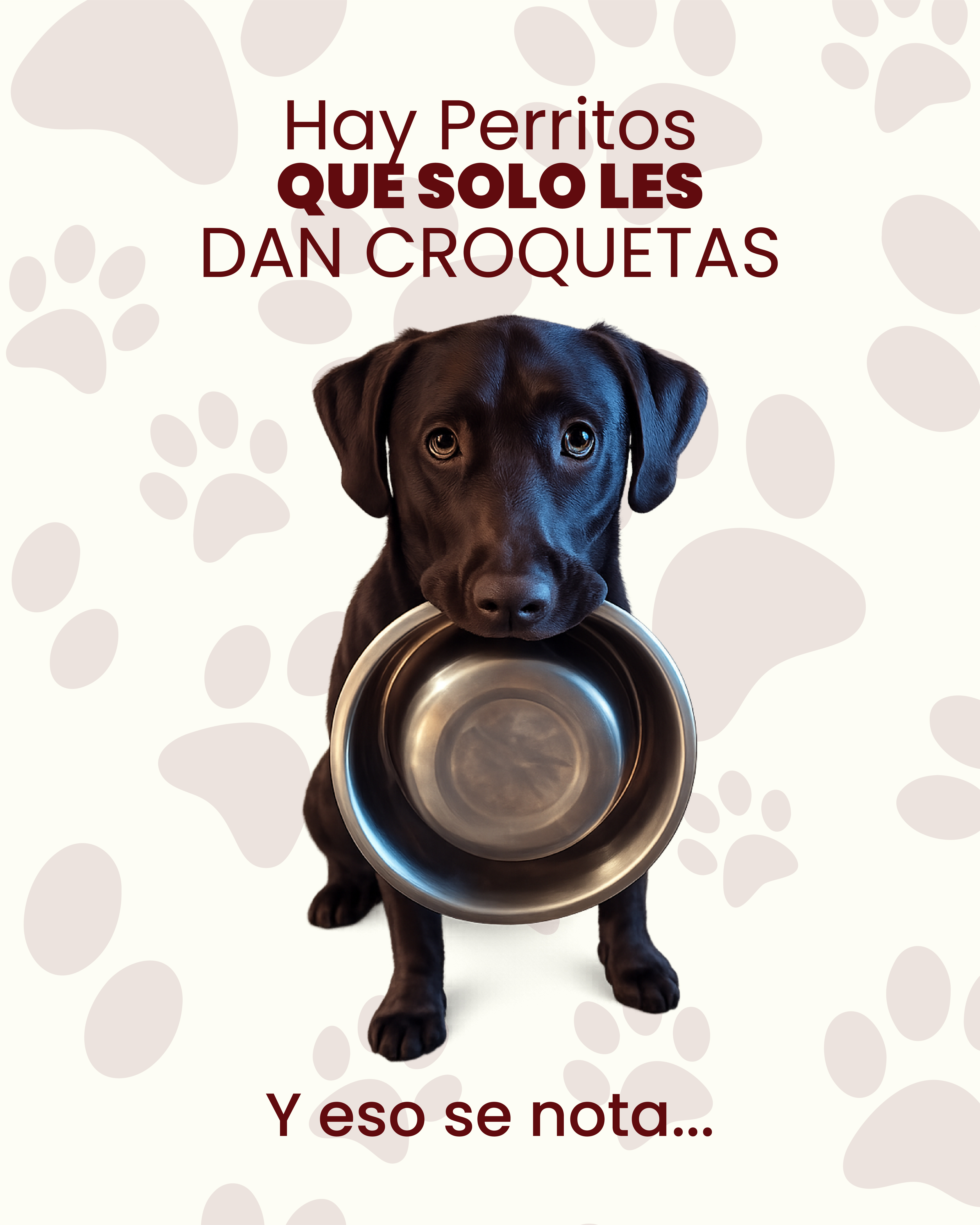 Hay perritos que solo les dan croquetas